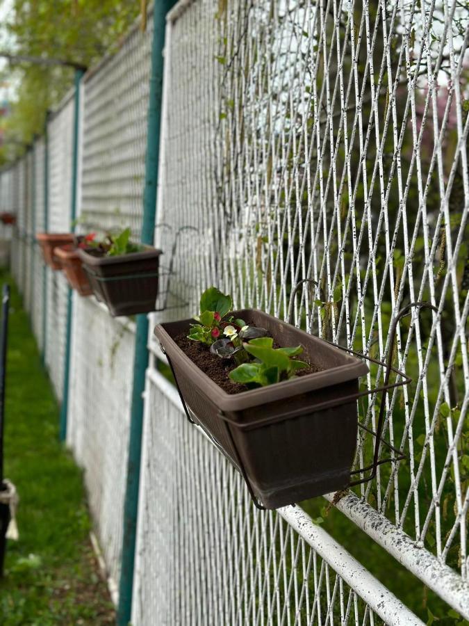 Apartmani Emily & Jully Niksic ภายนอก รูปภาพ