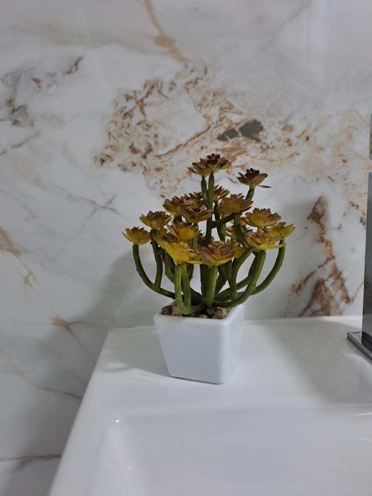 Apartmani Emily & Jully Niksic ภายนอก รูปภาพ